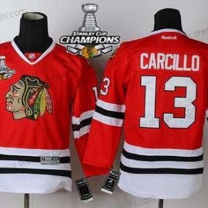 Chicago Blackhawks #13 Daniel Carcillo Červené dres W/2015 Stanley Cup Champion Patch – Dětské